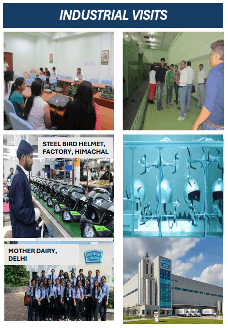 Industrial Visit